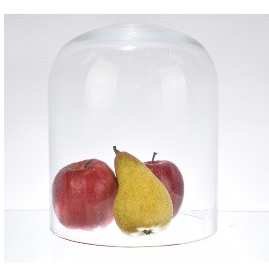 Medium Glass Dome Display Cloche 22 cm x 18 cm
