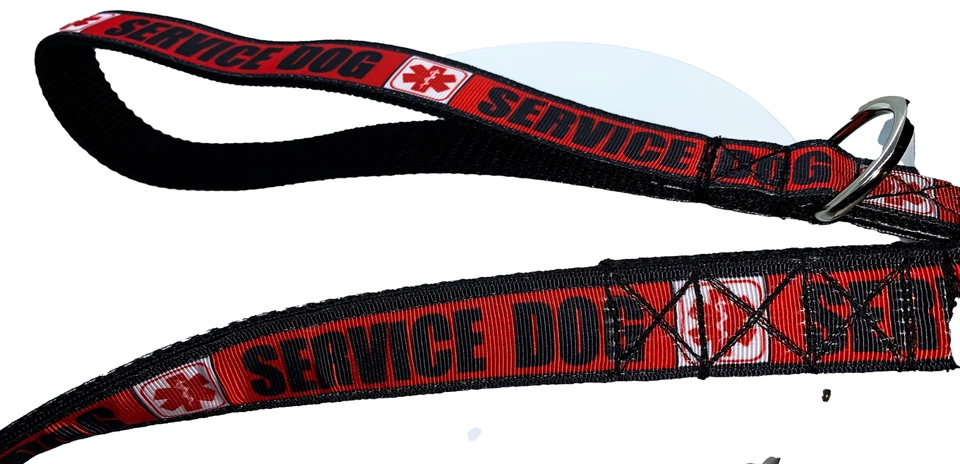 Correa de perro de servicio, correa de perro estándar, equipo de perro de servicio Foto 4 de 4