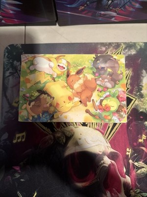 Berry Sleepy Pikachu & Eevee Double Deckbox 2025 Pokemon Center
