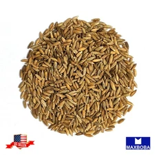 1000 Alfalfa Seeds Cover Crop Non-GMO Heirloom