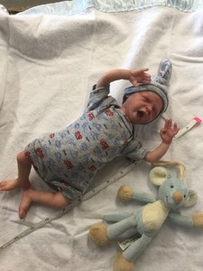 marita winters reborn dolls