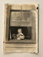 Vintage Photo Little Boy Stuffed Animals Open Window