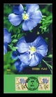 DR JIM STAMPS US COVER HERBS FLAX FIRST DAY ISSUE COMBO ALL OVER BGC