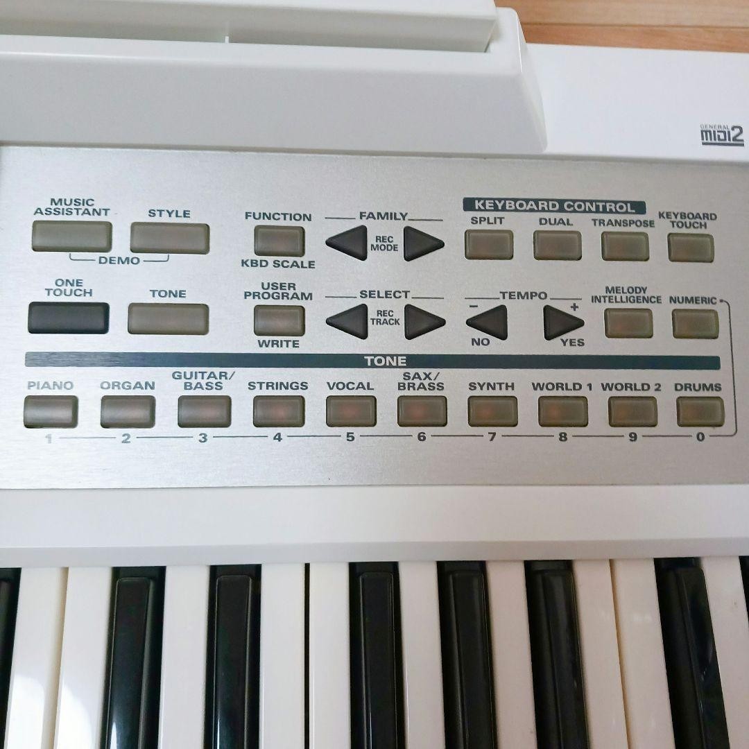 Roland E-09W 61 Key Arranger Keyboard Built-in Speaker Tested from