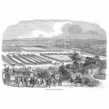 SOUTHAMPTON The Cattle Show at Portswood - Antique Print 1844