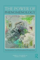 The Power Of Phenomenology Psychoanalytic And Philosophical Perspectives Buch