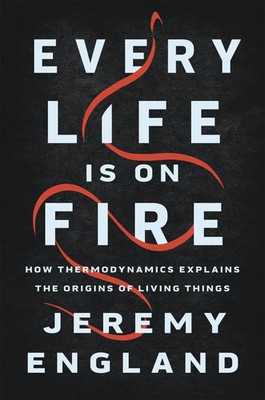 Every Life Is On Fire | How Thermodynamics Explains the Origins of Living Things