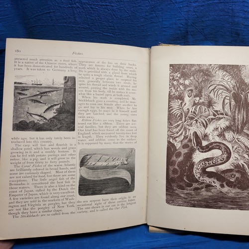 miller's gift book 1889 Hardcover - Picture 10 of 12