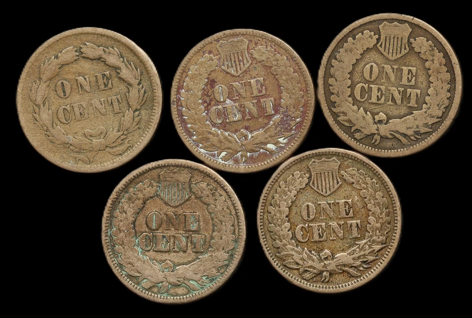 1859, 1860, 1860,  1862, 1863 & 1864  Indian Head Cents (5 Dates) - Image 2 of 2