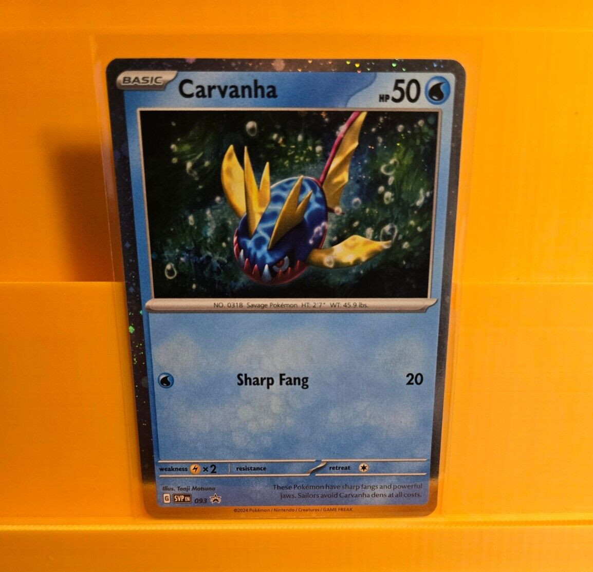*NEAR MINT HOLO* Carvanha #93 Pokemon Promo Card