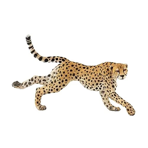 Papo Animals & Nature Educational Toys