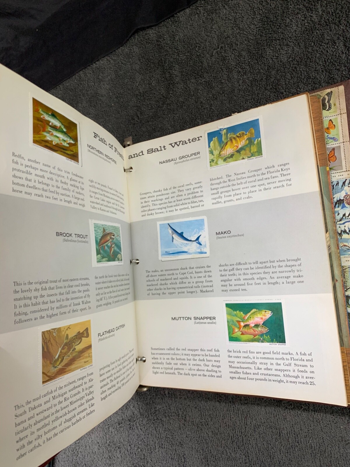 National Wildlife Federation Wildlife Stamp Album 1960's1970s Complete WOW! eBay