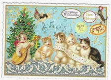 Postcard Glitter Tausendschoen Cat Singing Choir Lute Postcrossing
