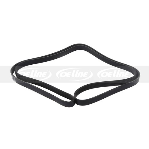 6PK1570 EPDM Serpentine Belt for Ford Fusion LTD Mercury Mystique Dodge Intrepid - Bild 4 von 7