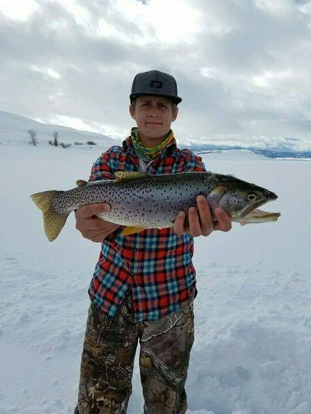 dynamic lures ice fishing THKFISH Jigs Ice Fishing Ice Fishing Gear for Crappie, Panfish, Walleye, Bluegill Vertical Jigs Kit Ice Fishing Tackle 4pcs-10g : Sports & Outdoors The Dynamic HD Trout is used by anglers across the United States because of its versatility Ice Rod Carbon Series