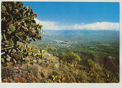 AK Isla de la Palma. Canarias. Aridane Times. 1978 gesendet, siehe beide Scans