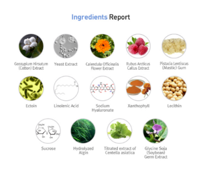 Rene Cell-Giminus White Program Brighter 20gx2ea Cream Glowing