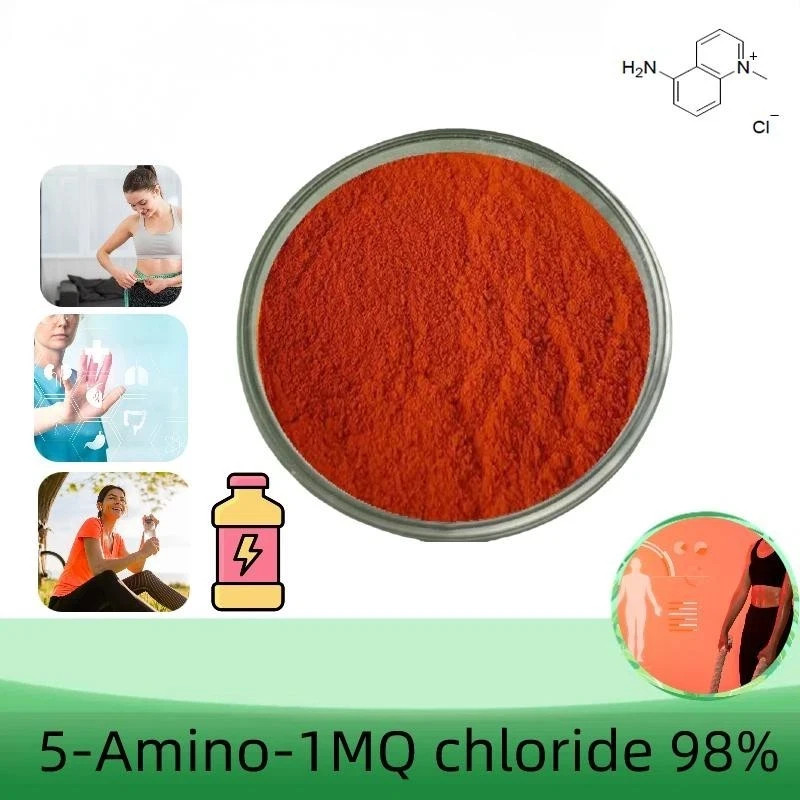 5 amino 1mq chloride Supplement Capsules 500MCG 60ct (3RD Party Tested) : Health & Household 5-A-1M  High Purity 5