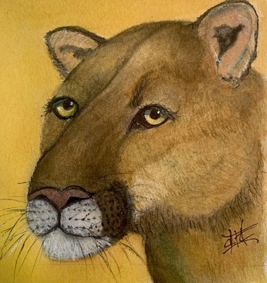ORIGINAL Watercolor 5x5 Framed Lion Cougar Lion Animal Wild Cat Nature Small Art