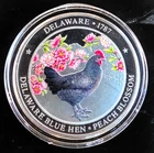 Delaware US State Bird & Flag Colorized Vtg Rare Bullion-0.999 Silver 1 Oz Coin