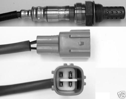 その他 Ecoca 61DIgX4WbjL._AC_SY200_QL15_.jpg