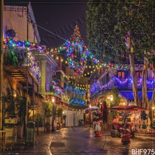 Cityscape 10'x10' Computer/Digital Vinyl Scenic Photo Background Backdrop BHF975