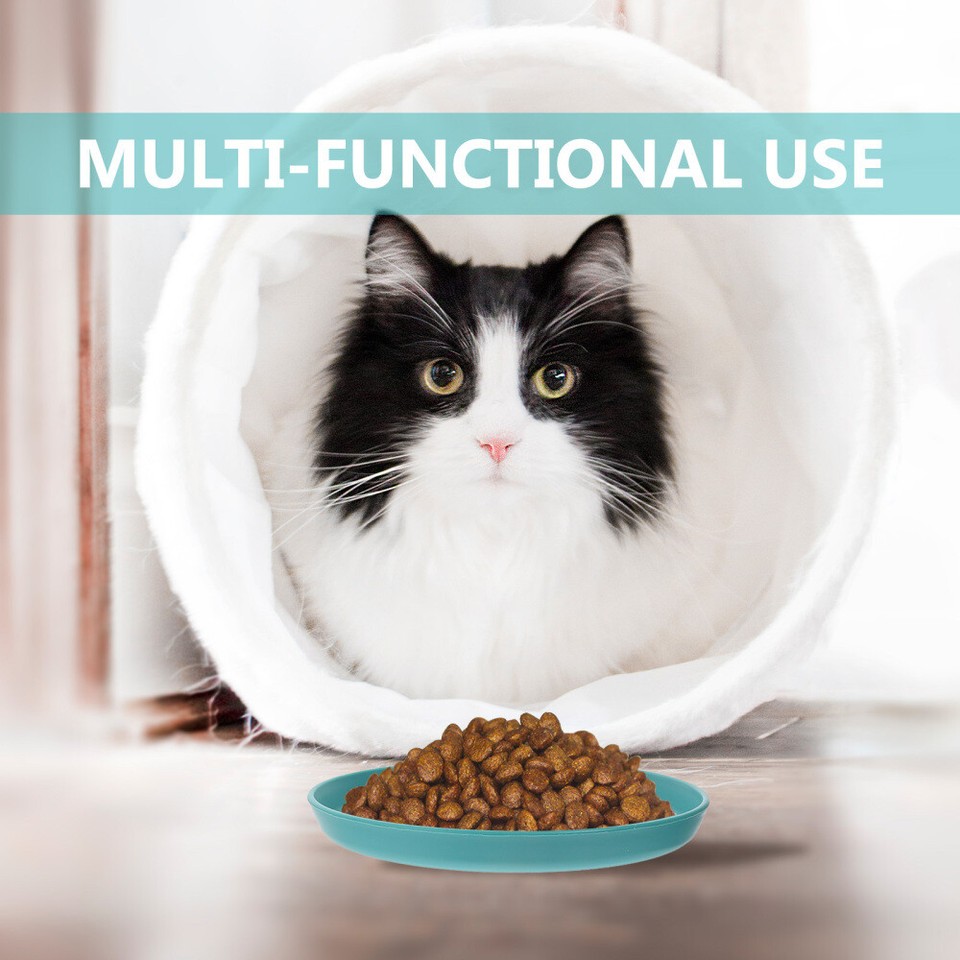 4 Pcs Flat Pet Bowls Cat for Indoor Cats Disc Food Fatiguerelieving eBay