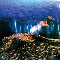 Malihini - Hopefully Again - Vinyl Record 12 Record - F123Z