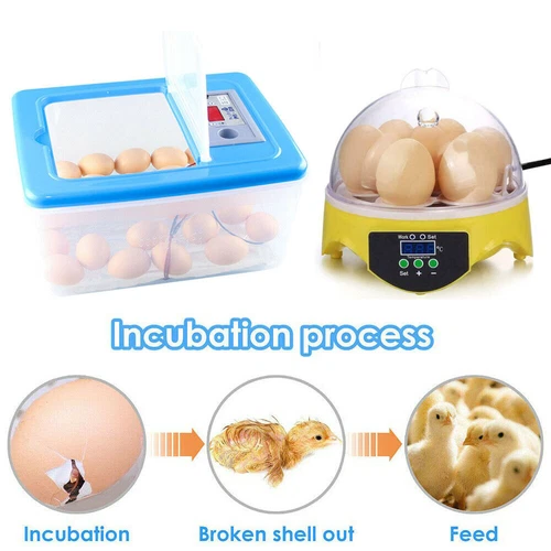 Egg Incubator Hatching Machine Breeder Portabel Chicken Eggs Hatcher for 7 Eggs - Picture 15 of 18