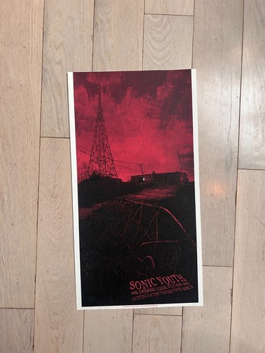 SONIC Youth Daniel Danger poster Screenprinted numbered 118/190 Boise Idaho 2009 - 第 7/13 張圖片