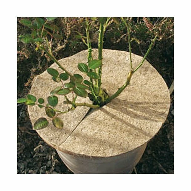 MARKENLOS Kokos Mulchscheibe Kokosscheibe Winterschutz Kokosmatte Frostschutz Topfpflanzen