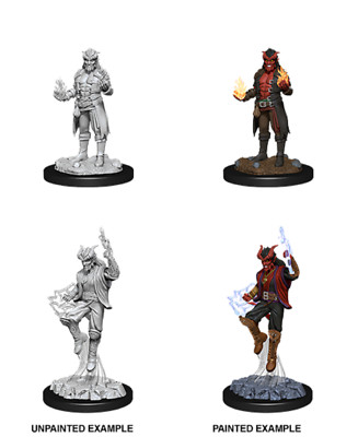 TIEFLING MALE SORCERER D&D Nolzur's Marvelous Miniatures Wizkids WZK90058