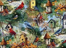 Remnant of Fabric 9x21 for Crafts, Quilting, Colorful Birds and Birdhouses