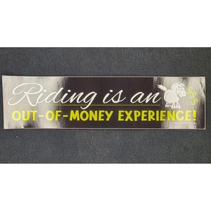 Riding is an Out of Money Experience Funny Horse Bumper Sticker