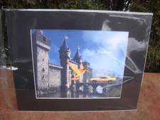 10" x 8" Matted Firebirds Fantasy Print EX