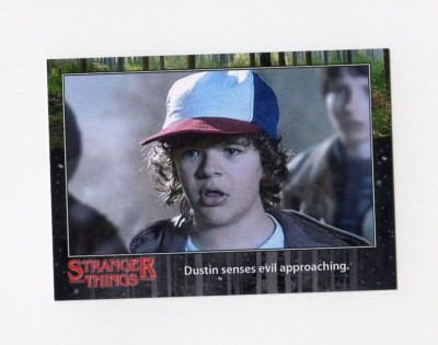 TN28046 DUSTIN HENDERSON Stranger Things 2016 Limited Edition Card