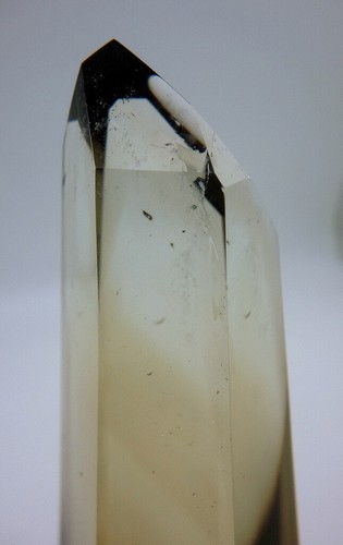 Polished Citrine Crystal 7" Tall Madagascar - Picture 9 of 12