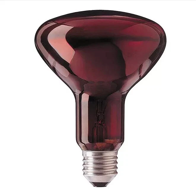 Philips Infrared Lamp 100W - 220V Heat Bulb for Massage & Skin Care, R95 E26/E27 - Image 3 of 4