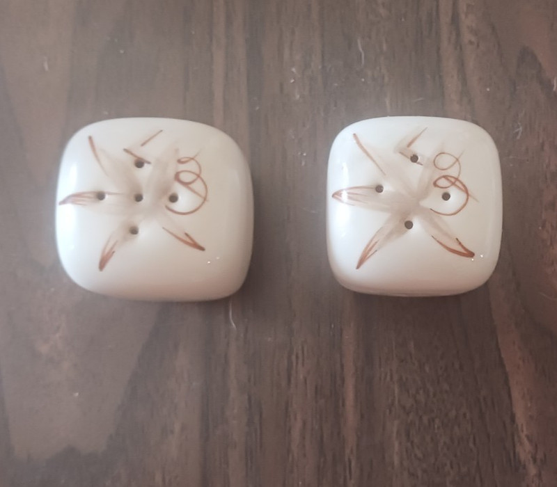Winfield china Square Salt & Pepper Shakers Set of 2 Brown Accents