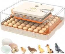 56 Egg Incubator with Auto-Turning, Hatching ...