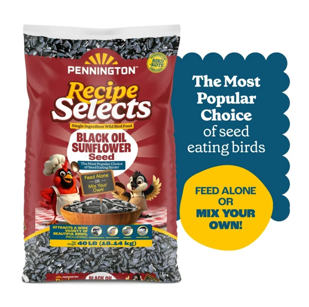 40lb Black Oil Sunflower Seeds Wild Bird Food, Large Bag
