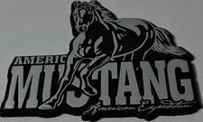 American Expedition Collectible Premium Car/truck Metal Emblem (3.5") Heavy Duty