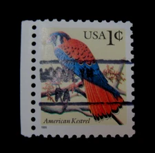 US Stamp Scott 3044 American Kestrel 1 Cent Precancel OG