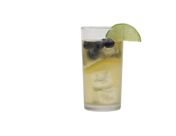 Harney & Sons Blueberry Green Iced Tea 6 ct Tin