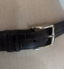 Genuine American Alligator Leather Belt Brown Silver Tone Buckle Size 44