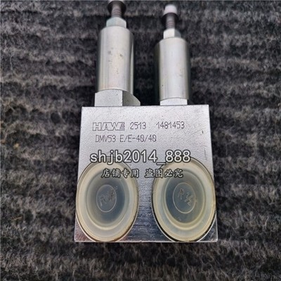 1PC NEW  DMV53E/E-40/40 Hawe Pressure Valve SHIP EXPRESS  P3241B YL *nl