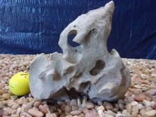04 Texas/TN Holey Rock 08"x07"x04" Aquarium Reptile Honeycomb Limestone
