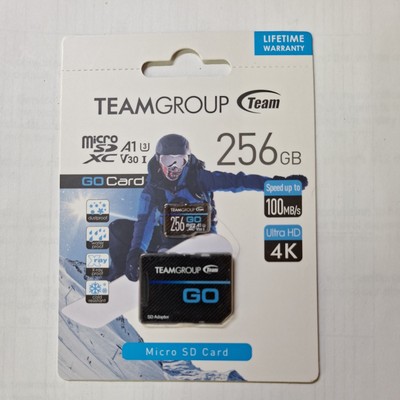 TeamGroup 256GB Go Card micro SDXC UHS-I Card New TGUSDX256GU303 765441051638