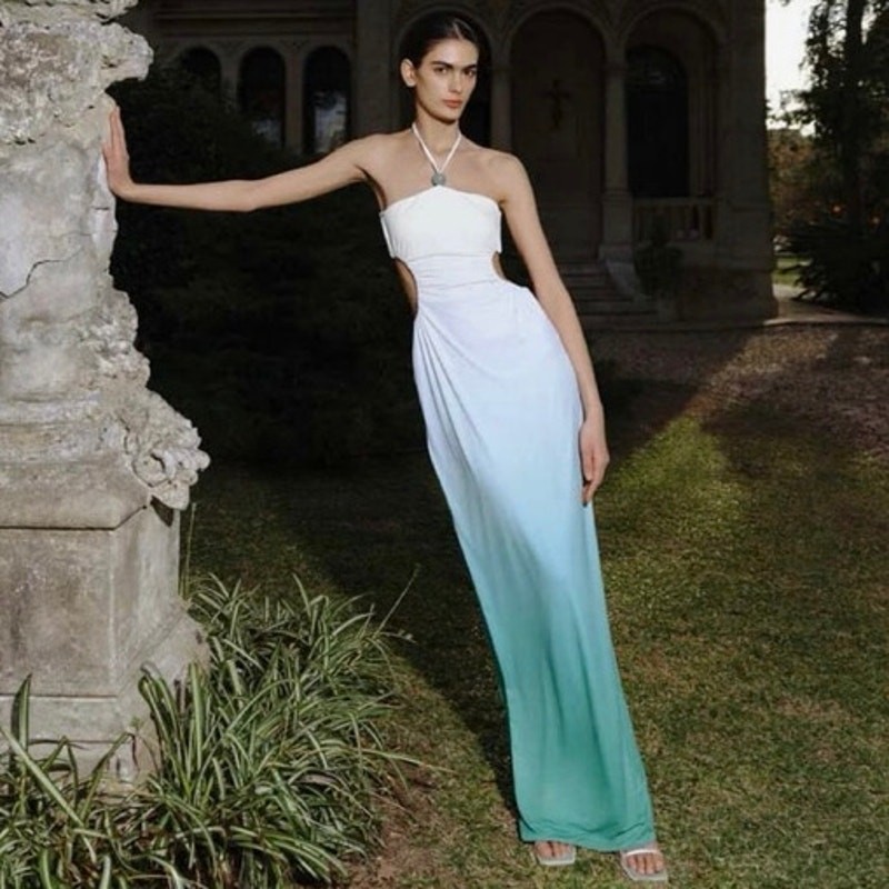NWT BAOBAB Nao Maxi Dress