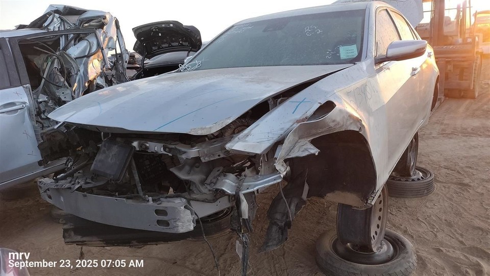 CTS 2019 Seat Belt Rear 10454639 | eBay